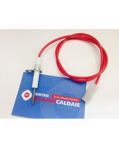 ELETTRODO RILEVAZIONE C/CAVO