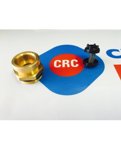 GRUPPO  MANDATA BY- PASS