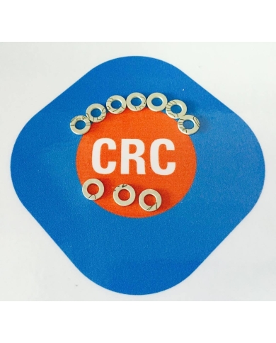 GUARNIZIONE ( 10 PZ  )