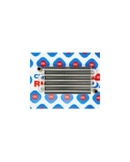 SCAMBIATORE PRIMARIO 